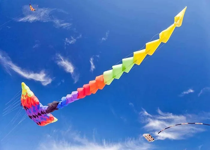 In Near Baltic 公寓 *