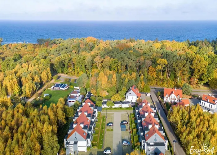 In Near Baltic * 尼彻兹